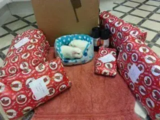 Topsy & Roni 1.webp