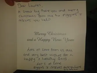 Lauren 2.webp