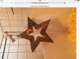 image.webp