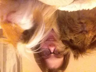 image.webp