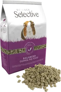 Pellets.webp