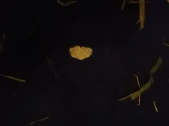 191494504_395633384993775_6009877255249195059_n.jpg 191494504_395633384993775_6009877255249195059_n.jpg