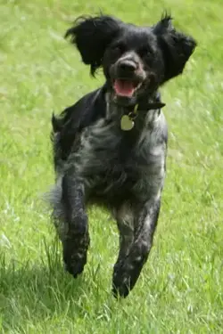 Screenshot_2019-07-29-23-49-51-2.webp