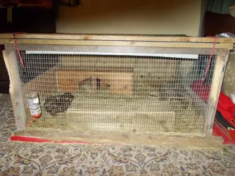DSCN2399.webp