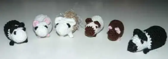 meerschweinchen_gruppe.webp meerschweinchen_gruppe.webp
