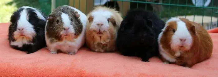 group3.jpg