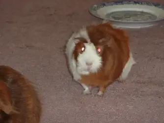 1628040973512.png