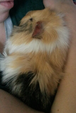 2015-01-05 13.04.04.webp