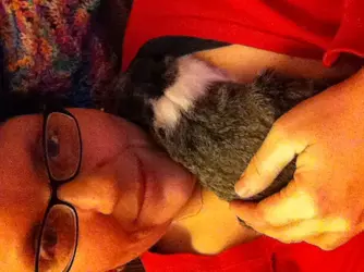 image.webp