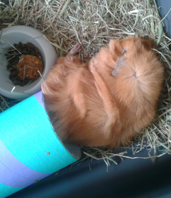 2015-01-11 11.41.02.webp