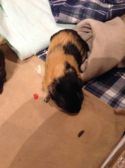 IMG_8828-11735(rev 0).webp