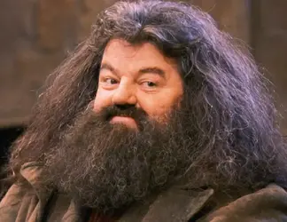 beard-hagrid.webp