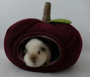 apfel_muffin_P1120997.webp