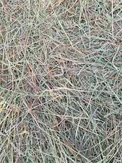 20210915_141734.webp