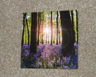 Card from Vets Re Patsy 1.webp