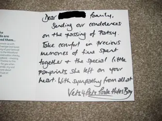 Card from vets re Patsy.webp