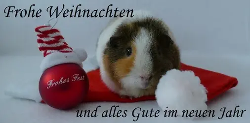 frohe_weihnachten_2019.webp