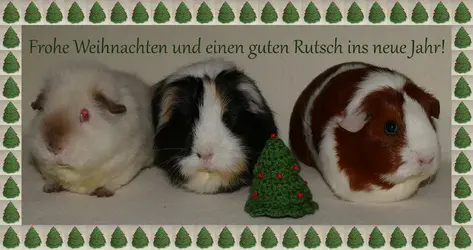 weihnachten_gross.webp