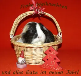 frohe_weihnachten_2015.webp