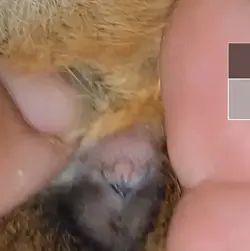 Screenshot_20211217-155034_Video Player.webp