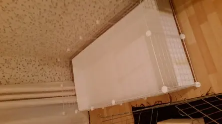 20150121_211031.webp