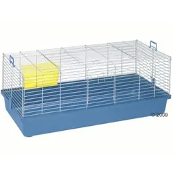 guinea cage old blue.webp guinea cage old blue.webp