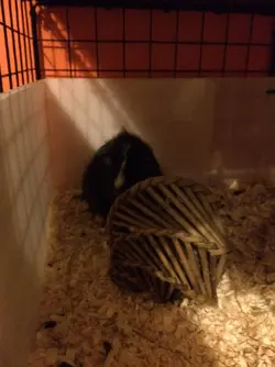 2015-01-24 23.02.41.webp