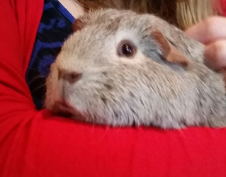 2015-01-25 11.41.40.webp