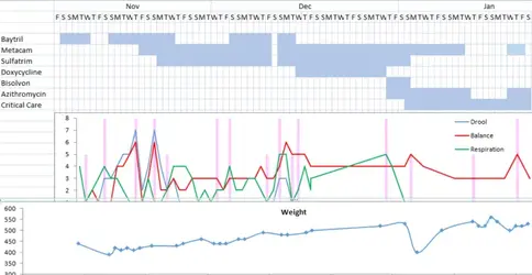 Graphs.webp