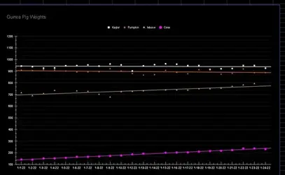 SmartSelect_20220128-061235_Sheets.jpg