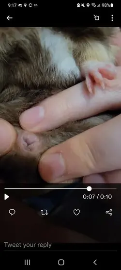 Screenshot_20220128-091750_Twitter.webp