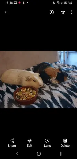 Screenshot_20220121-185803_Photos.webp