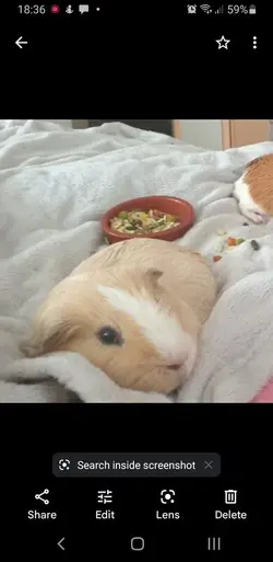 Screenshot_20220121-183640_Photos.webp