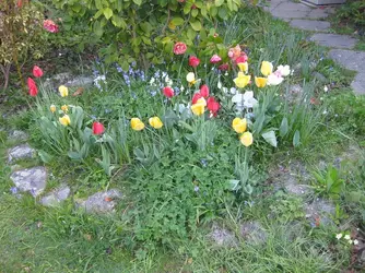 Velvet Christian _ Dennis burial ground.webp