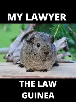 THE LAW GUINEA.webp