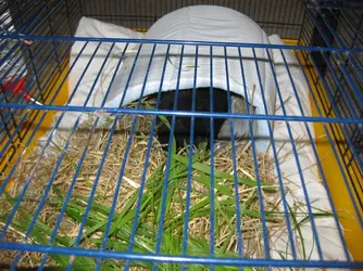 Meg Temp accommodation 2.webp