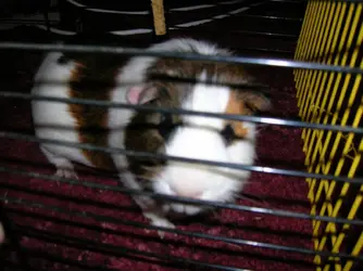 DSCN0007.webp