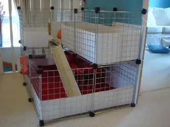 Guinee pig cage 003.webp