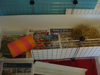 Guinee pig cage 005.webp