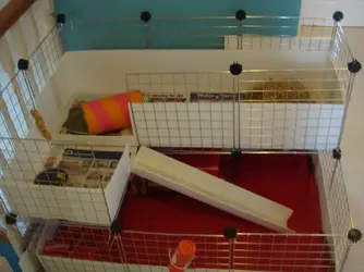 Guinee pig cage 004.webp