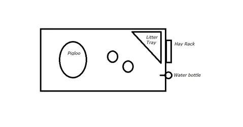 Layout.webp