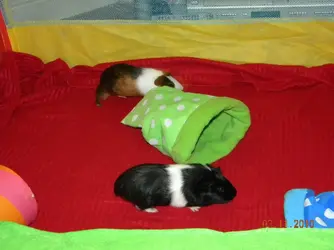 DSCN2728.webp