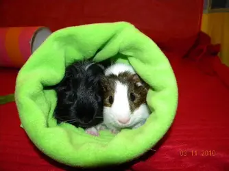DSCN2731.webp