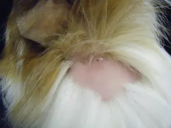 DSCF9789.webp