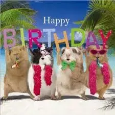 bday.webp