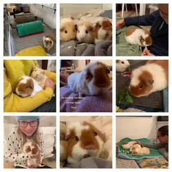 In memory of Ted.webp