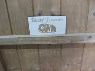 Betsy Towers 1.JPG