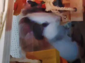 20220129_155712.webp