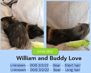 William and Buddy.jpg William and Buddy.jpg