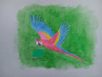 Inkedscarlet macaw.webp